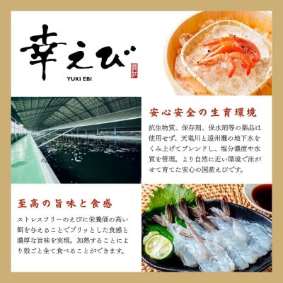 【大阪南森町で使える】有名グルメ番組で紹介された 「幸えび」を贅沢に味わう厳選コース(ペアお食事券)【1738491】