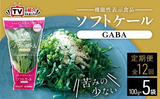 【毎月定期便】TV紹介で大好評 ソフトケール 100g×5袋 健康 腸活応援 スムージー 全12回【配送不可地域：離島】【4003773】