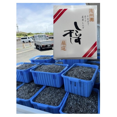 驥懈恕縺偵@繧峨☆ 500g 蛹也イァ邂ア蜈・繧翫宣埼∽ク榊庄蝨ー蝓滂シ夐屬蟲カ縲代1677698縲