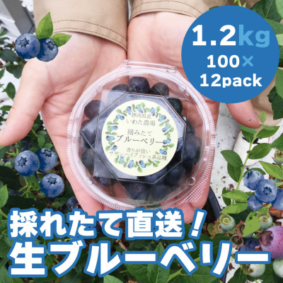 【令和7年5月 順次発送】完熟ブルーベリー生果実・1.2kg　静岡県磐田市産【配送不可地域：離島】【1444674】