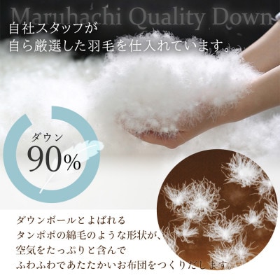 丸八真綿 羽毛掛け布団 シングル 150×210cm 日本製 ホワイトダックダウン90%【1653500】