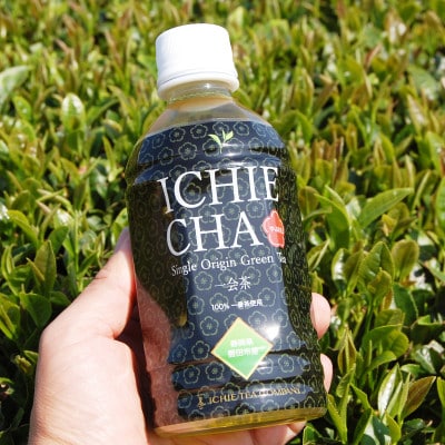 高級煎茶　ICHIE　CHA 24本入り　シングルオリジンペットボトル高級緑茶　静岡磐田市産【1419410】