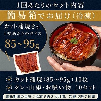 【2ヵ月毎定期便】浜名湖・うなぎのたなかの国産うなぎカット蒲焼(中)10枚※1回分900g程度全3回【配送不可地域：離島】【4012202】