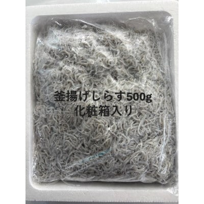 釜揚げしらす 500g 化粧箱入り【配送不可地域：離島】【1677698】