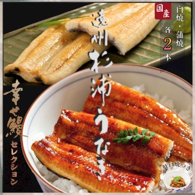 【1本210g以上】遠州杉浦うなぎMセット　白焼2本+蒲焼2本(880-980g)+肝白焼+タレ【配送不可地域：離島】【1612730】