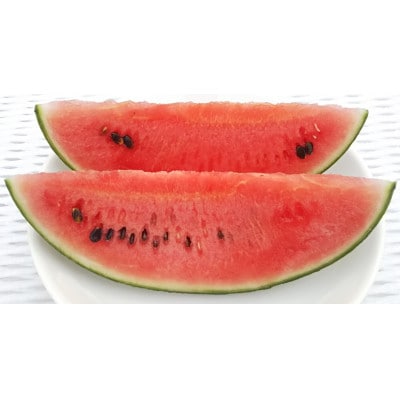 【先行受付/2026年8月上旬より発送】3玉!夏を思いっきり楽しむ!シャリ感抜群!スイカ【ぷちっと】【配送不可地域：離島・北海道・沖縄県】【1685555】