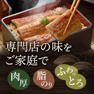 浜名湖産 うなぎ蒲焼 3尾入り【配送不可地域：離島】【1469101】