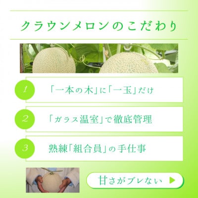 【2026年5月中旬より発送】磐田市 ねらい目 クラウンメロン 山等級 約1.3kg×2個【配送不可地域：離島・北海道・沖縄県】【1640737】