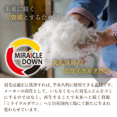 羽毛掛け布団 シングル 150×210cm 1.1kg リサイクル羽毛 80% 柄おまかせピンク系【1465863】