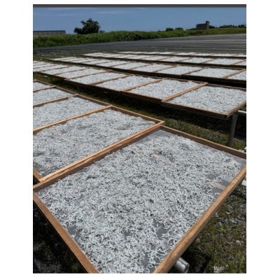 驥懈恕縺偵@繧峨☆ 500g 蛹也イァ邂ア蜈・繧翫宣埼∽ク榊庄蝨ー蝓滂シ夐屬蟲カ縲代1677698縲