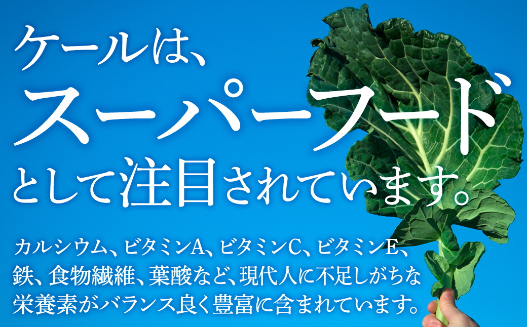 【毎月定期便】手軽に野菜摂取!【無添加 ケールまるごと100%青汁】スーパーフード全3回【4003783】