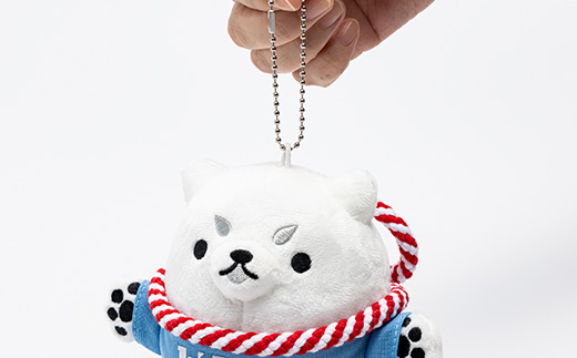 しっぺいグッズ詰め合わせ【C】【1639673】