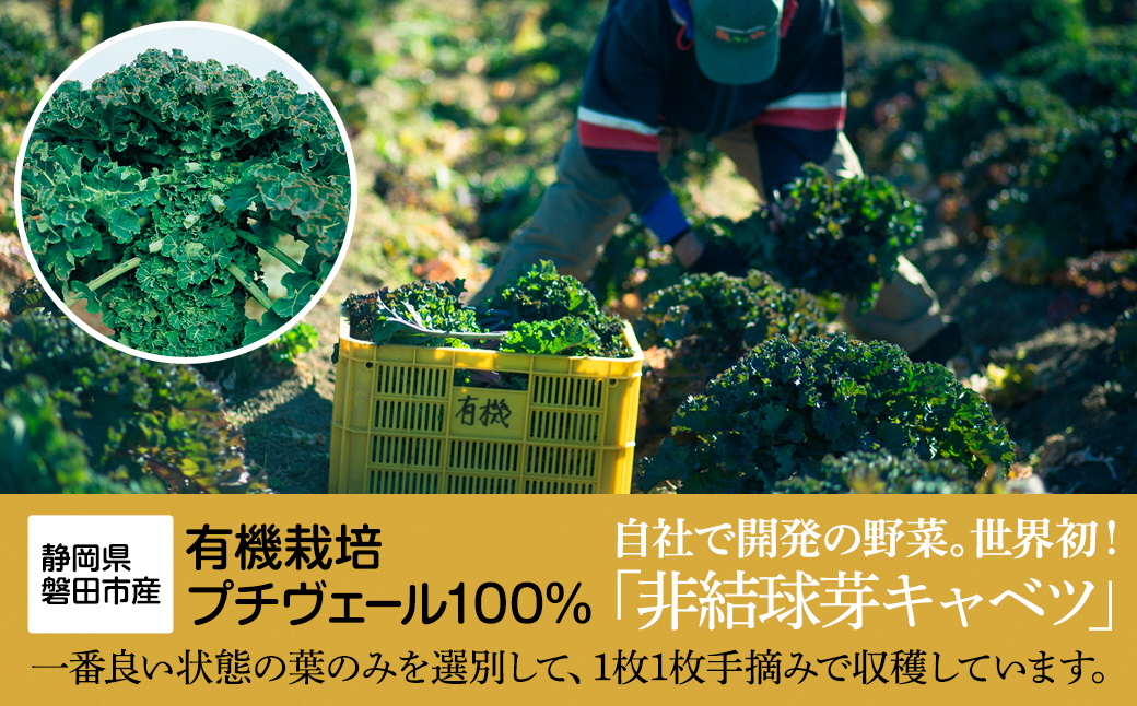 野菜でカルシウム!【完全無添加 プチヴェール(R)100%サプリメント 静岡県磐田市産】【1419795】