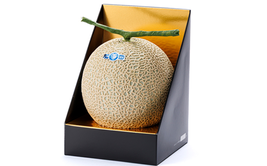 磐田市　アローマメロン　1.2キロ以上　白等級　食べごろ日記載あり　静岡県産　ライオンメロン【1614729】