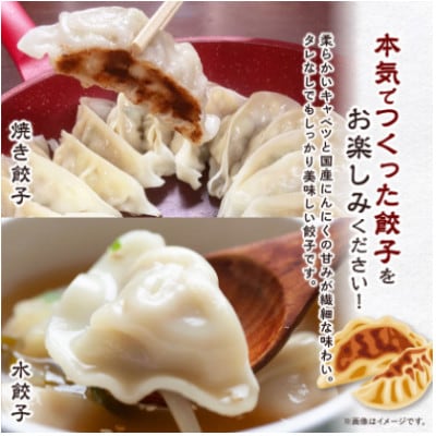 秀餃子 120個(40×3箱)2.4kg 国産野菜と肉の新鮮さにこだわった本気のぎょうざ 国産 冷凍【配送不可地域：離島】【1622598】