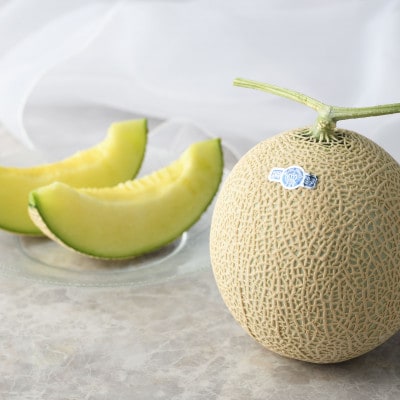 【発送月固定定期便】【2月、3月発送】 静岡県磐田市の定期便全2回【配送不可地域：離島・北海道・沖縄県】【4083098】