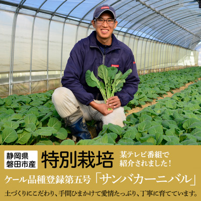 ãæ¯æå®æäŸ¿ãTV玹ä»ã§å€§å¥œè© ãœããã±ãŒã« 100gÃ5è¢ å¥åº· è
žæŽ»å¿æŽ ã¹ã ãŒãžãŒ å
š6åãé
éäžå¯å°åïŒé¢å³¶ãã4003775ã