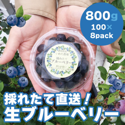 【令和7年5月 順次発送】完熟ブルーベリー生果実・800g　静岡県磐田市産【配送不可地域：離島】【1444673】