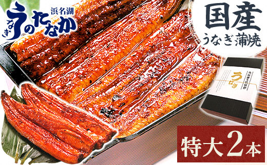 浜名湖・うなぎのたなかの長蒲2本ギフト!ふっくら柔らか♪国産うなぎ長蒲焼※合計360g程度【配送不可地域：離島】【1417592】