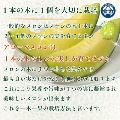 【組合直送】アローマメロン1玉(約1.3kg)〜静岡が誇る高級マスクメロン〜　9月〜2月【1660352】