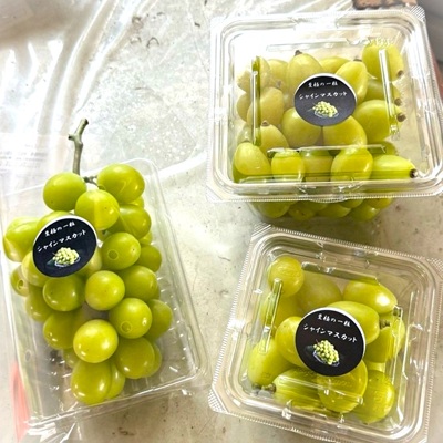ã2026幎å
è¡äºçŽã ã·ã£ã€ã³ãã¹ã«ãã 2æ¿ çŽ1.2kg å³éž å®ç ææ¡ã é岡çç£ãé
éäžå¯å°åïŒé¢å³¶ã»æ²çžçãã1723184ã