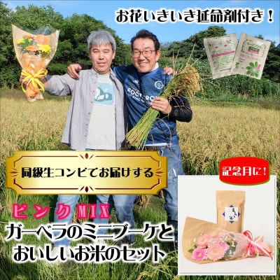 10月発送!同級生コンビでお届け　ガーベラピンクブーケとおいしいお米のセット・お花長持ち栄養剤付き!【1708235】
