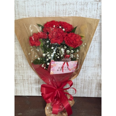 母の日に!4月下旬以降順次発送　カーネーションブーケとおいしいお米のセット・お花長持ち栄養剤付き!【1706229】