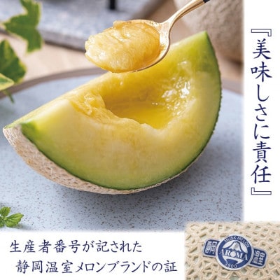 【毎月定期便】【高級メロンの訳あり品】アローマメロン1玉全11回【配送不可地域：離島・北海道・沖縄県】【4071928】
