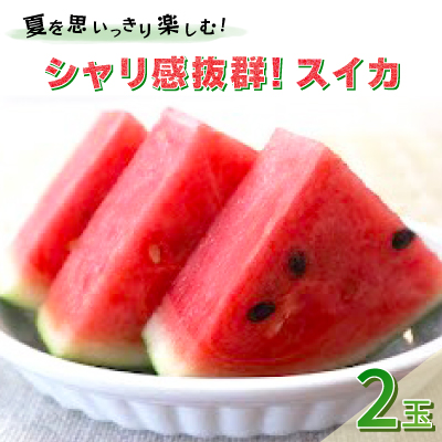 【先行受付/2026年8月上旬より発送】2玉!夏を思いっきり楽しむ!シャリ感抜群!スイカ【ぷちっと】【配送不可地域：離島・北海道・沖縄県】【1685556】
