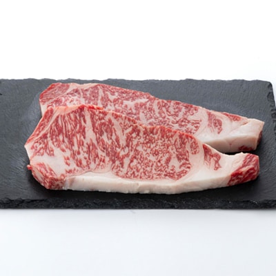 【食通の静岡牛】 サーロインステーキ　250g×2枚 【配送不可地域：離島】【1637185】