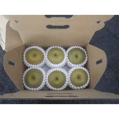 【先行受付】【150口限定】梨『あきづき』(2026年8月下旬〜9月中旬発送予定)【配送不可地域：離島】【1697211】