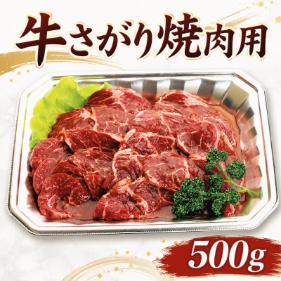 牛さがり焼肉用 究極のうま味 500g【配送不可地域：離島】【1741795】