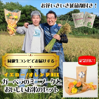 10月発送!同級生コンビでお届け　ガーベラMIXブーケとおいしいお米のセット・お花長持ち栄養剤付き!【1706309】