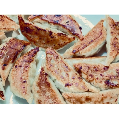 ふくすけ餃子 計60個 冷凍生【配送不可地域：離島】【1673844】