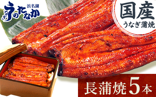 浜名湖・うなぎのたなかの長蒲焼き5本セット!ふっくら柔らか♪国産うなぎ長蒲焼※合計900g程度【配送不可地域：離島】【1607912】