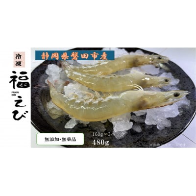福えび3パックセット　静岡県磐田市産【配送不可地域：離島】【1690457】