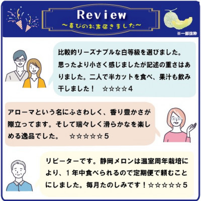 【通年出荷】アローマメロン　2玉入【静岡高級マスクメロン】【配送不可地域：離島・北海道・沖縄県】【1447090】