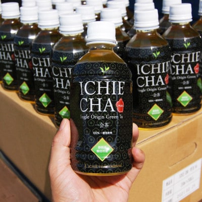 高級煎茶　ICHIE　CHA 12本入り シングルオリジン ペットボトル高級緑茶　静岡磐田市産【1419401】