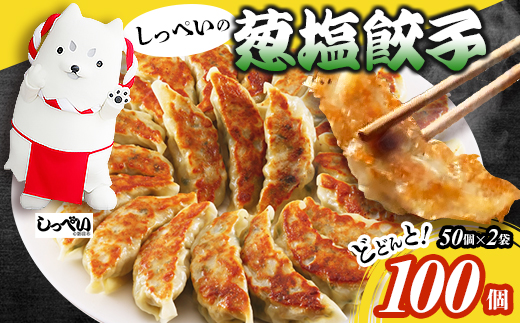 しっぺいの葱塩餃子 100個(50個×2袋)きわだつ旨み!磐田市特産品の長葱使用 国産ぎょうざ 冷凍【配送不可地域：離島】【1630487】