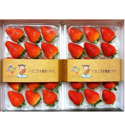 【いちご空中農園いわた】【きらぴ香】【期間限定】大粒 8〜15玉×2パック ギフトBOX入り【配送不可地域：離島】【1701699】
