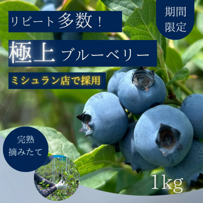 【極上】完熟 生ブルーベリー1kg【配送不可地域：離島】【1519661】