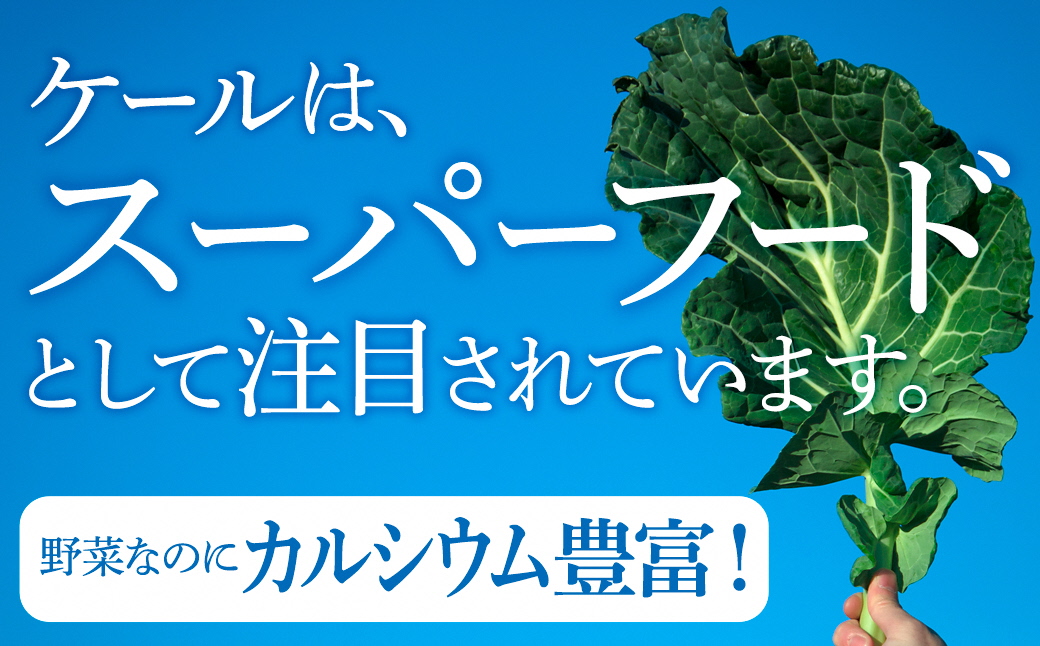 手軽に野菜摂取!【無添加 ケールまるごと100%青汁ジュース 原材料 静岡県磐田市産 有機栽培】冷凍【配送不可地域：離島】【1419787】