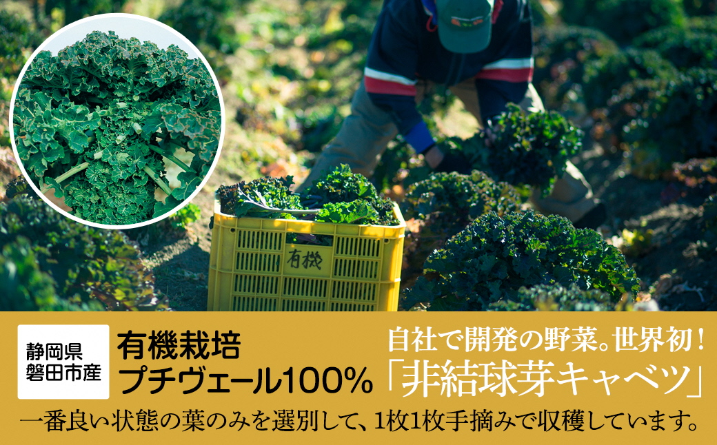 野菜でカルシウム!【無添加 プチヴェール(R)100%青汁 原材料 静岡県磐田市産 有機栽培】【1419793】