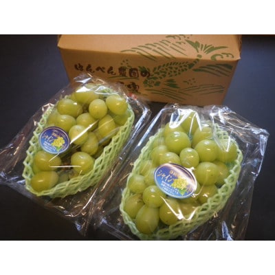 【先行受付】【150口限定】シャインマスカット　2房(2026年9月中旬〜下旬発送予定)【配送不可地域：離島】【1697177】