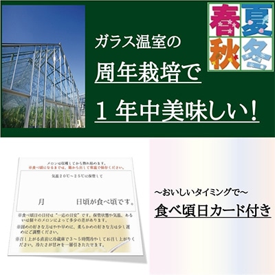 【毎月定期便】【名人メロン】山等級クラウンメロン1玉・12ヵ月毎月お届け全12回【配送不可地域：離島・北海道・沖縄県】【4003091】