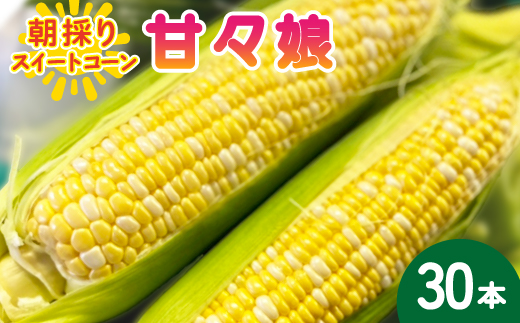【2026年6月〜7月順次発送】とうもろこし 30本 甘々娘(A品) 朝採り スイートコーン【配送不可地域：離島・北海道・沖縄県・東北・中国・四国・九州】【1713801】