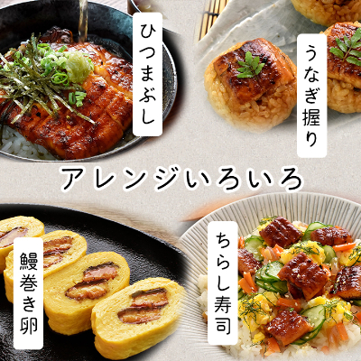 浜名湖・うなぎのたなかの長蒲2本ギフト!ふっくら柔らか♪国産うなぎ長蒲焼※合計360g程度【配送不可地域：離島】【1417592】