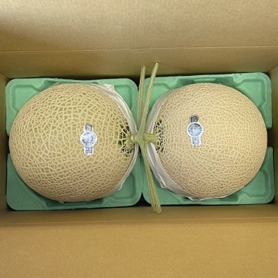 静岡県磐田市 クラウンメロン 山等級 約1.3kg×2個【配送不可地域：離島・北海道・沖縄県】【1640723】