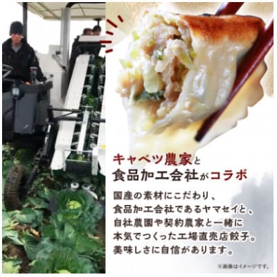 秀餃子 120個(40×3箱)2.4kg 国産野菜と肉の新鮮さにこだわった本気のぎょうざ 国産 冷凍【配送不可地域：離島】【1622598】