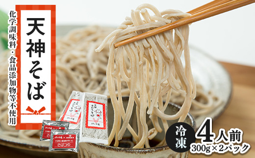【ことのは庵からこだわりの手打ちそばをお届け】天神そば4人前【冷凍便】【配送不可地域：離島】【1593160】